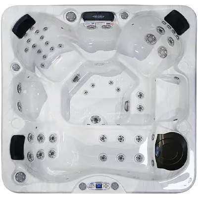 Avalon EC-849L hot tubs for sale in Palm Desert