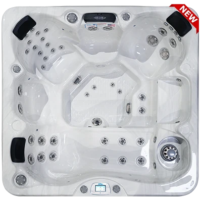 Avalon-X EC-849LX hot tubs for sale in Palm Desert