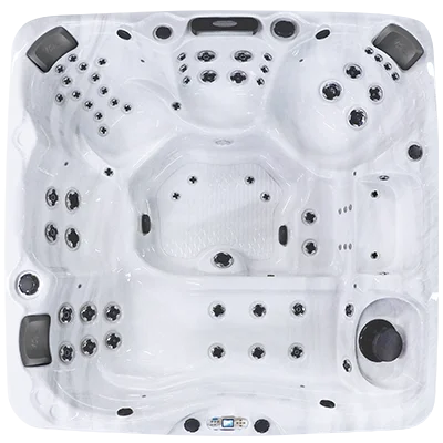 Avalon EC-867L hot tubs for sale in Palm Desert